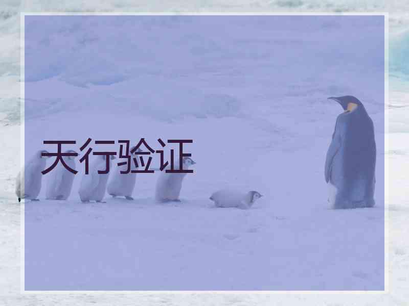 天行验证