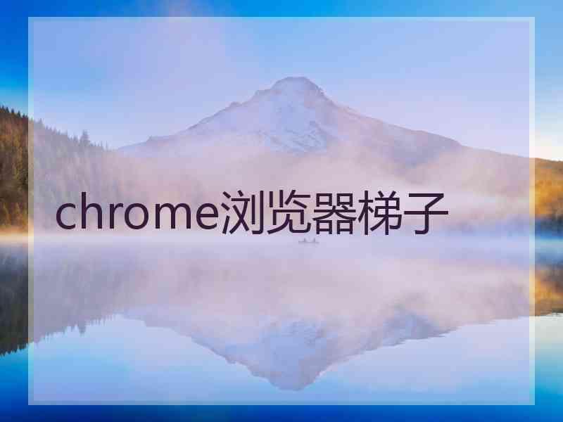 chrome浏览器梯子