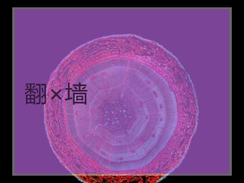 翻×墙