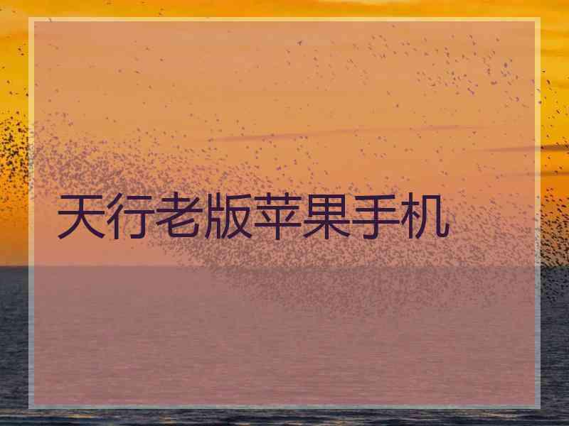 天行老版苹果手机