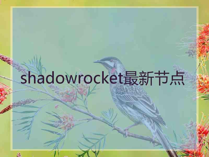shadowrocket最新节点