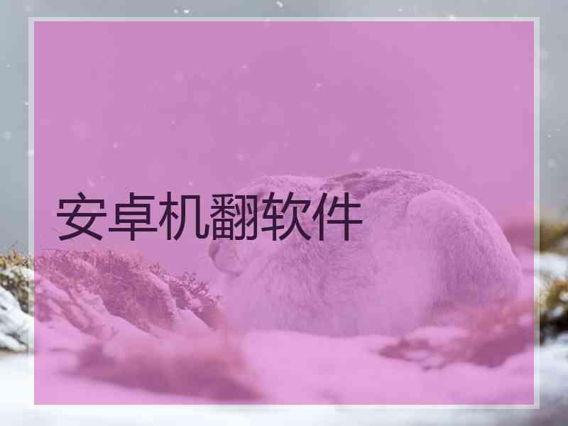 安卓机翻软件