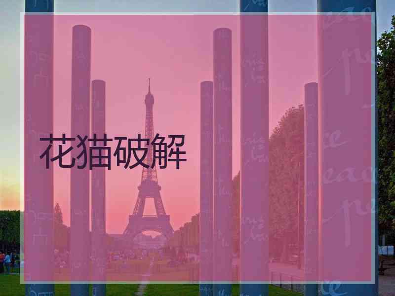 花猫破解