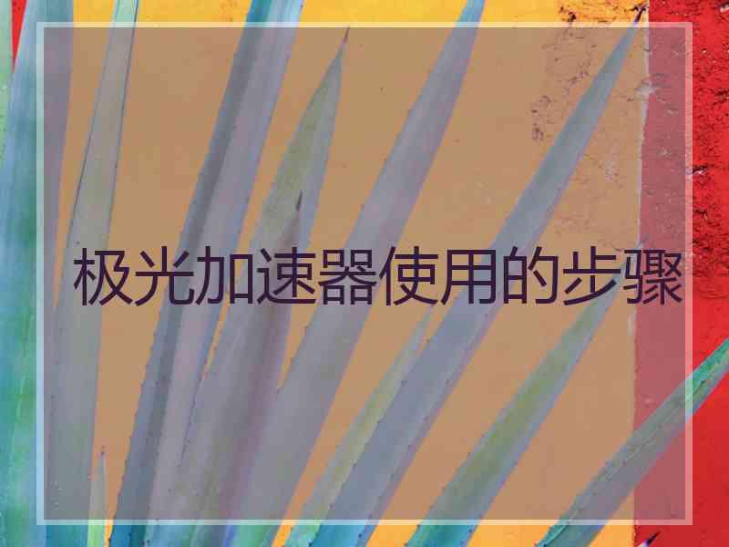 极光加速器使用的步骤
