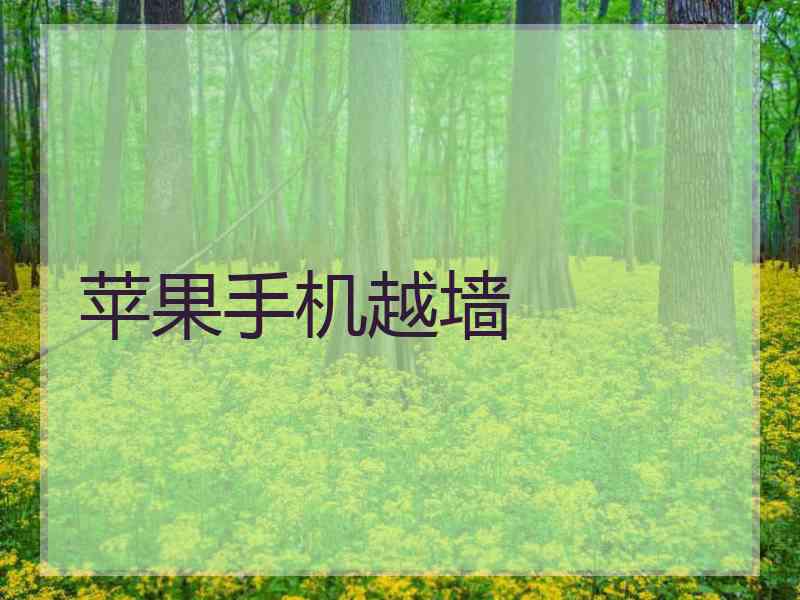 苹果手机越墙