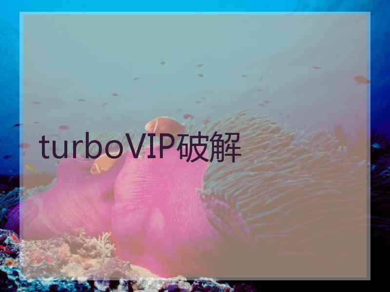 turboVIP破解
