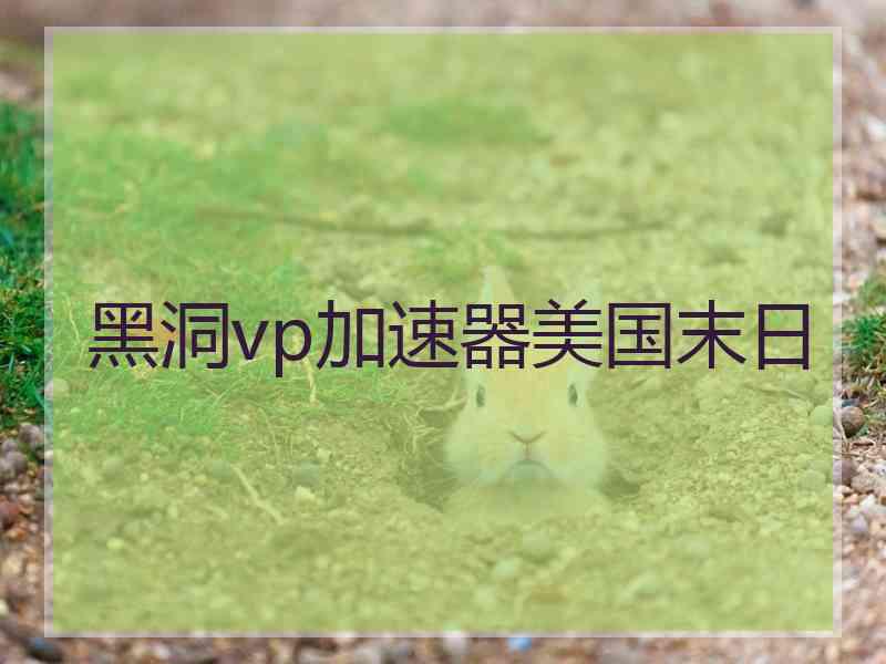 黑洞vp加速器美国末日