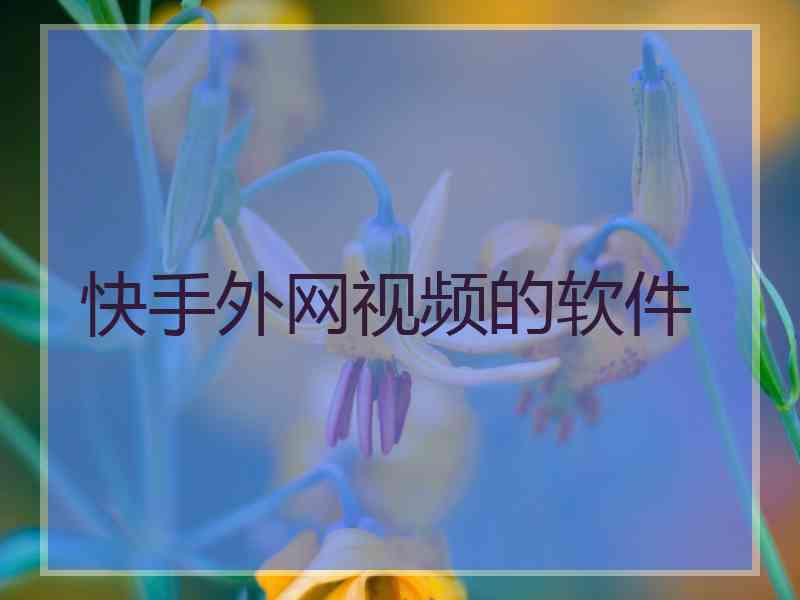 快手外网视频的软件