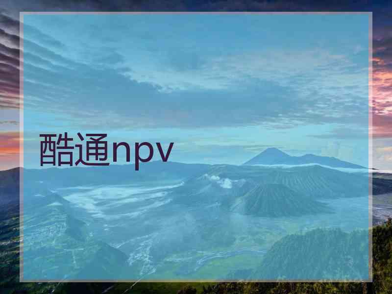 酷通npv