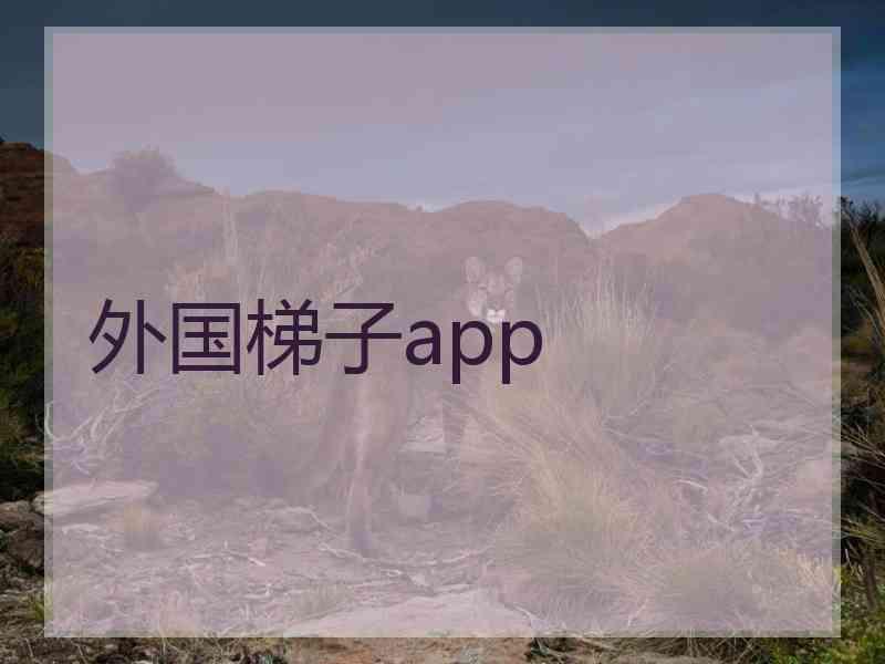 外国梯子app