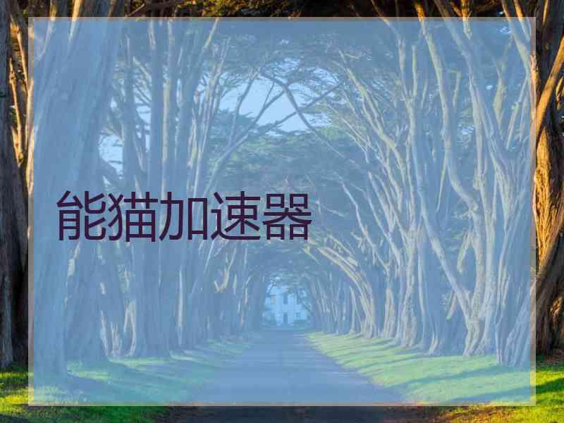 能猫加速器