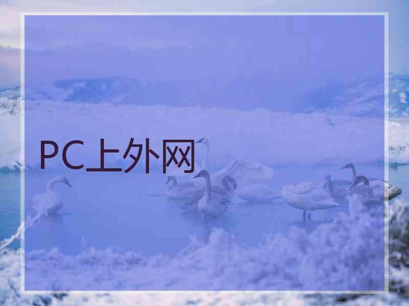 PC上外网