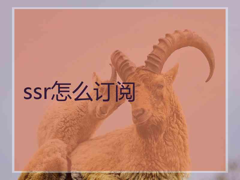 ssr怎么订阅