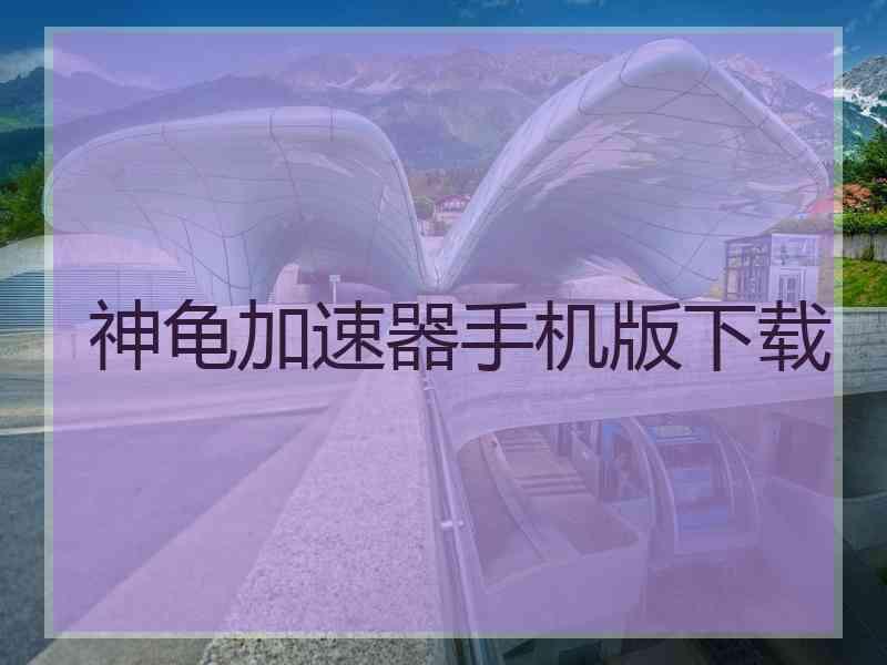 神龟加速器手机版下载
