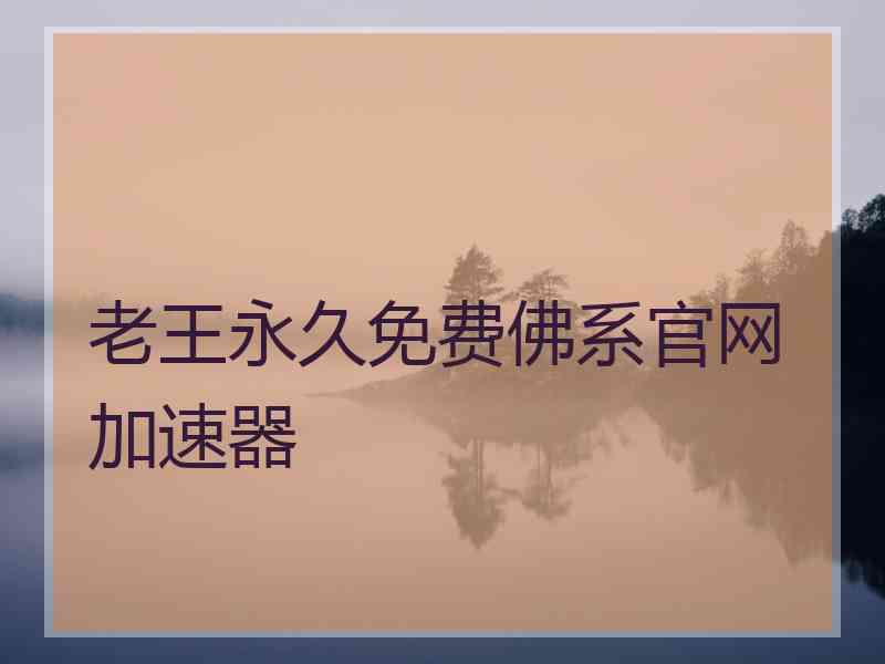 老王永久免费佛系官网加速器