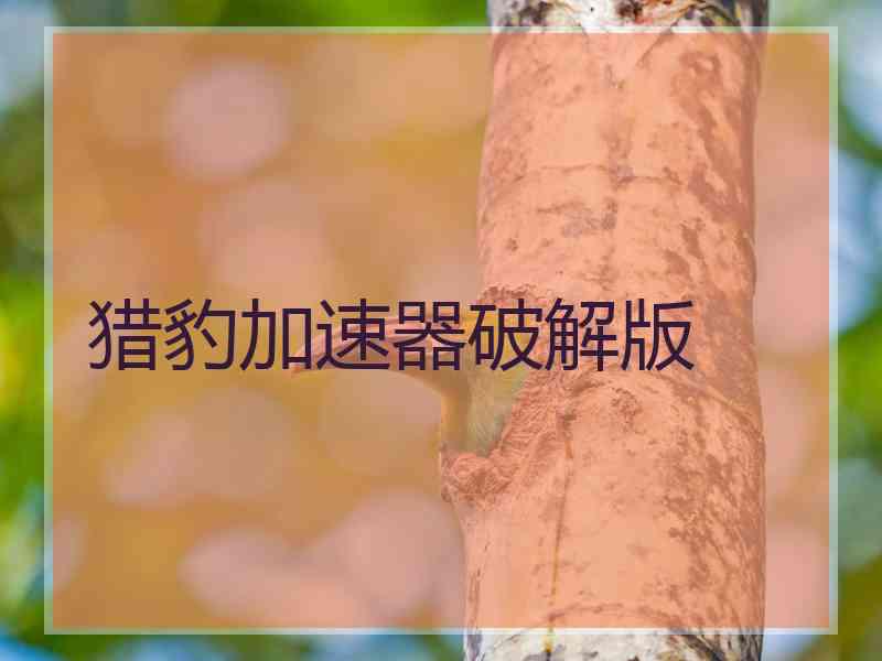 猎豹加速器破解版
