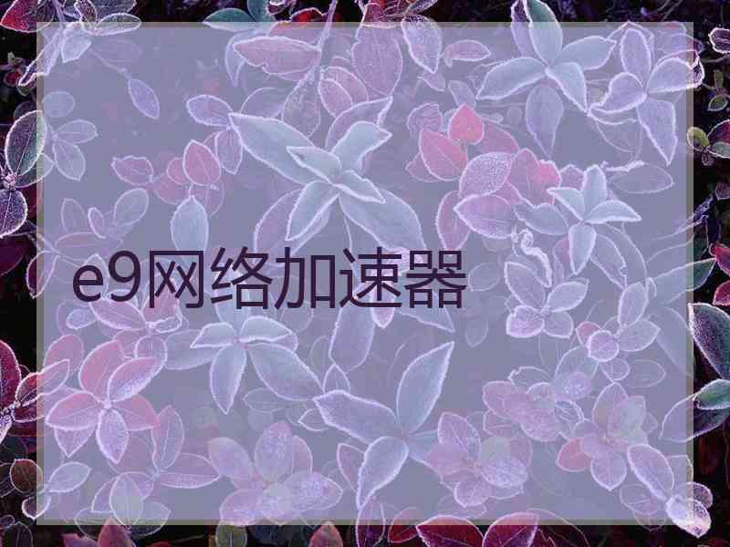 e9网络加速器