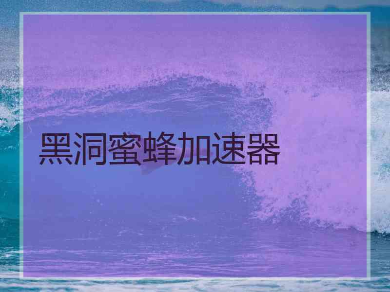 黑洞蜜蜂加速器