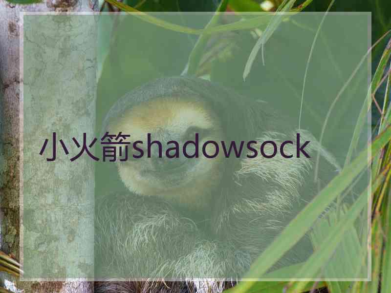 小火箭shadowsock