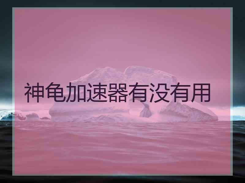神龟加速器有没有用