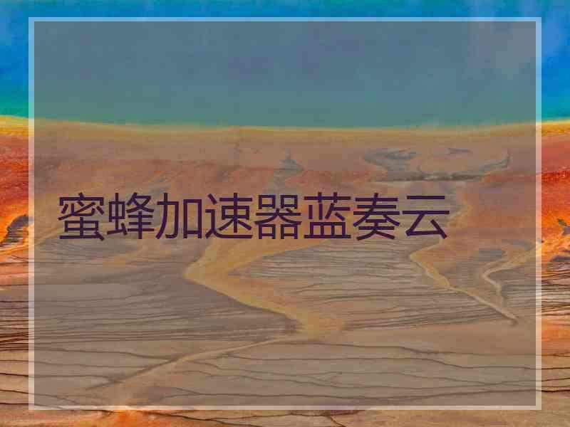 蜜蜂加速器蓝奏云