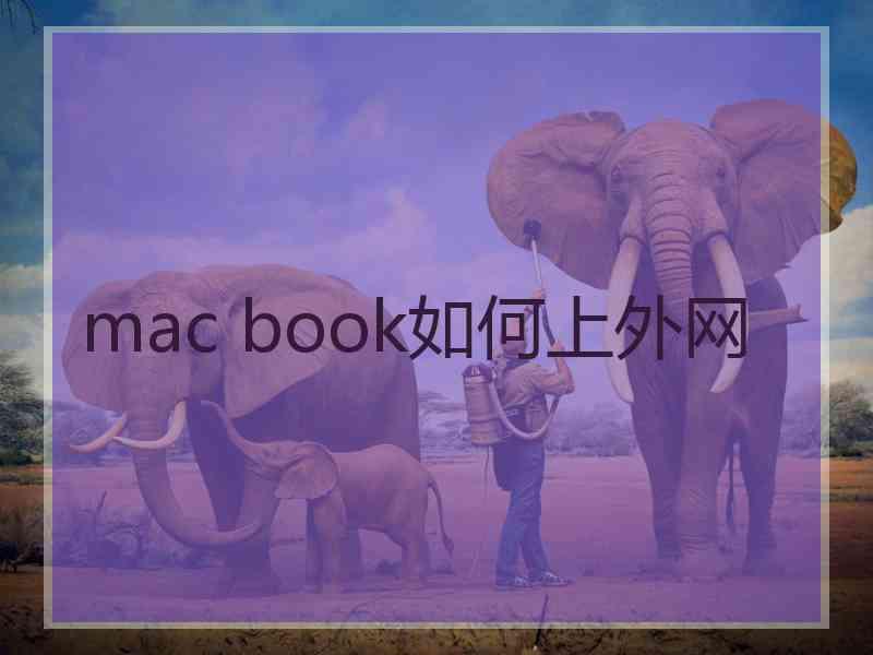 mac book如何上外网