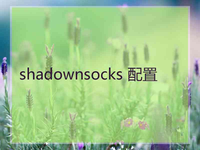 shadownsocks 配置