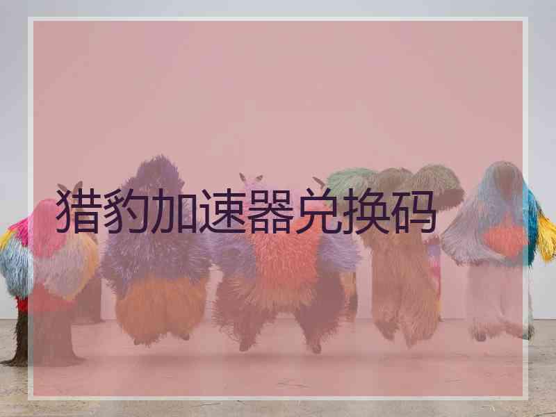 猎豹加速器兑换码