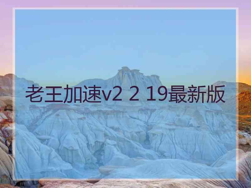 老王加速v2 2 19最新版