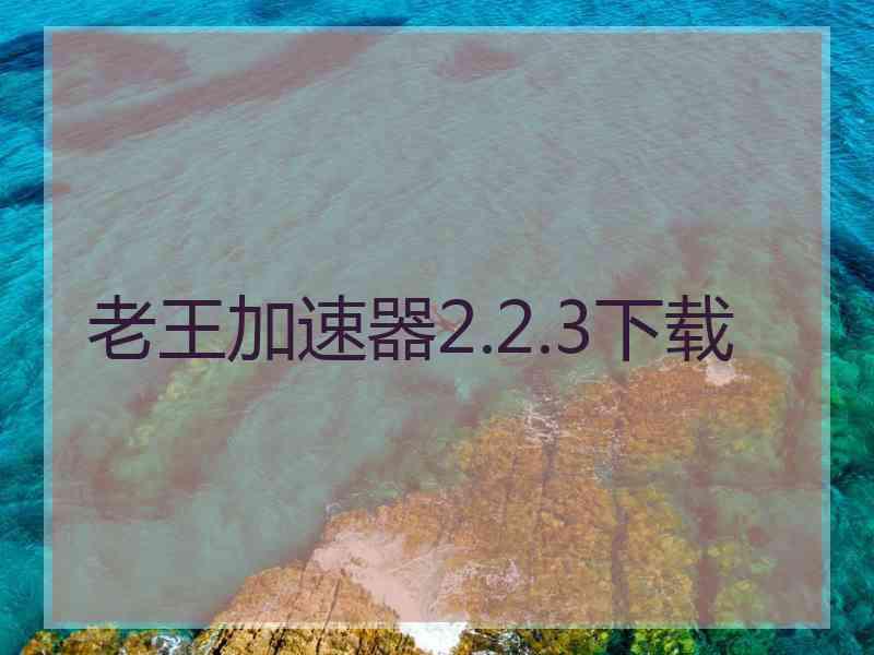 老王加速器2.2.3下载