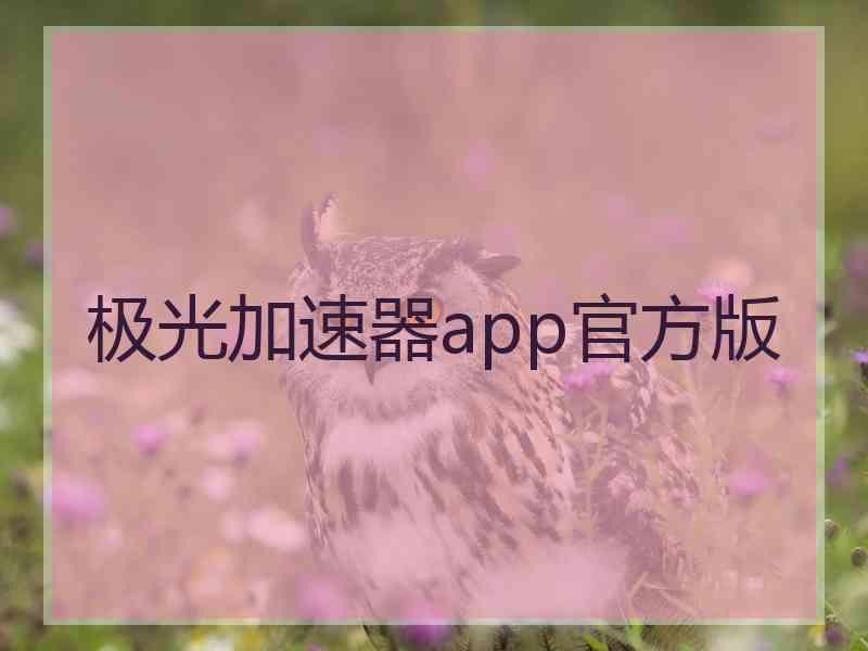 极光加速器app官方版