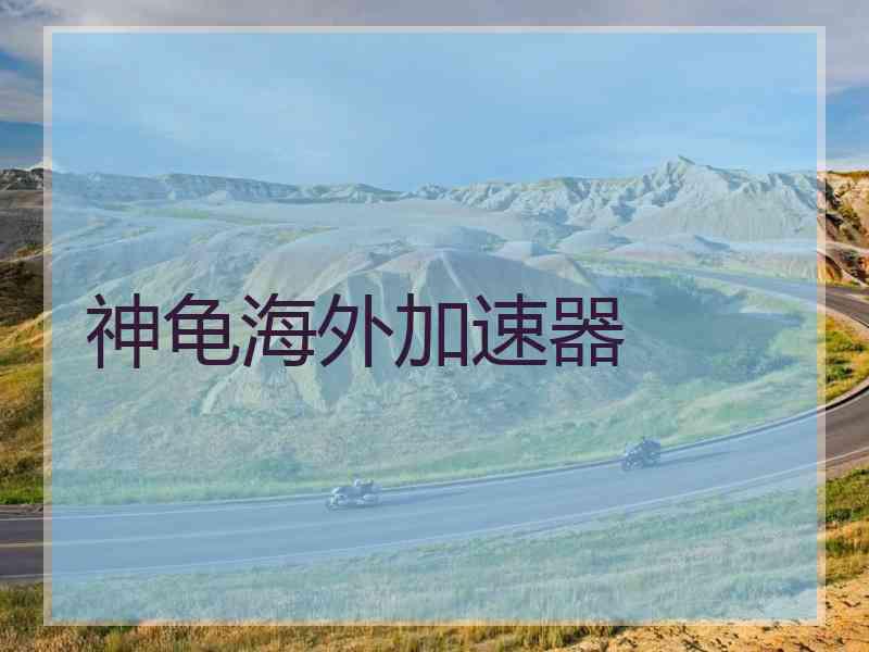 神龟海外加速器
