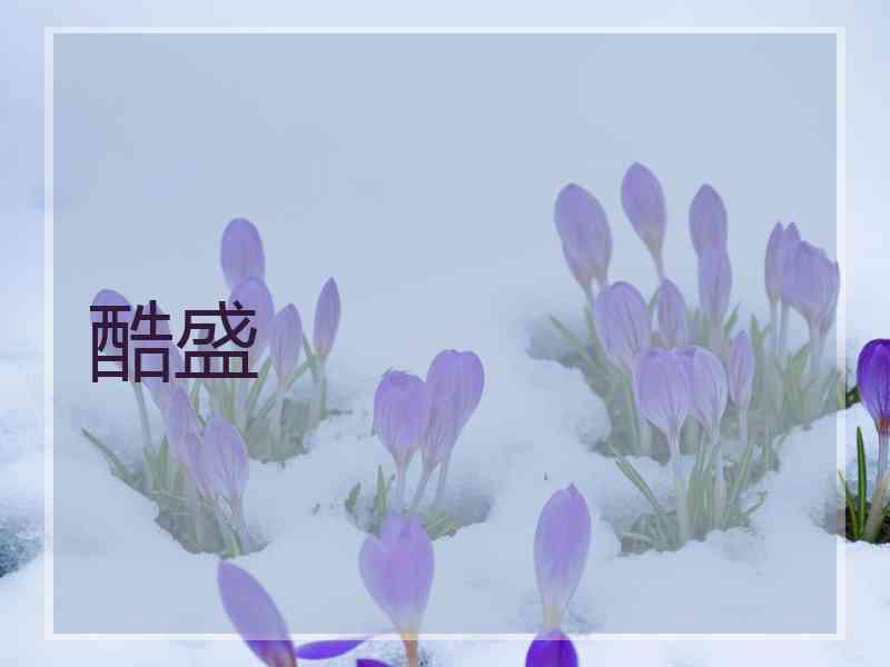 酷盛