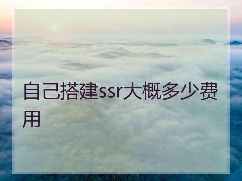 自己搭建ssr大概多少费用