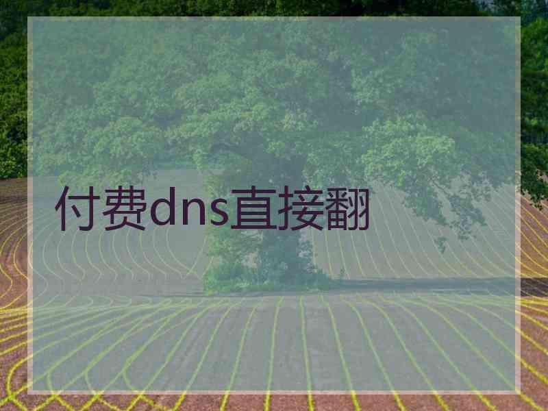 付费dns直接翻