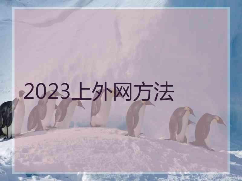 2023上外网方法