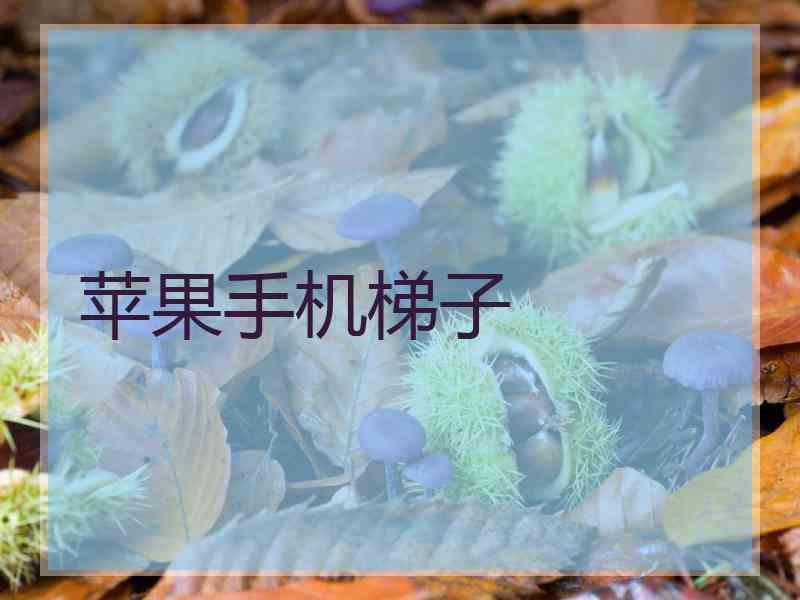 苹果手机梯子