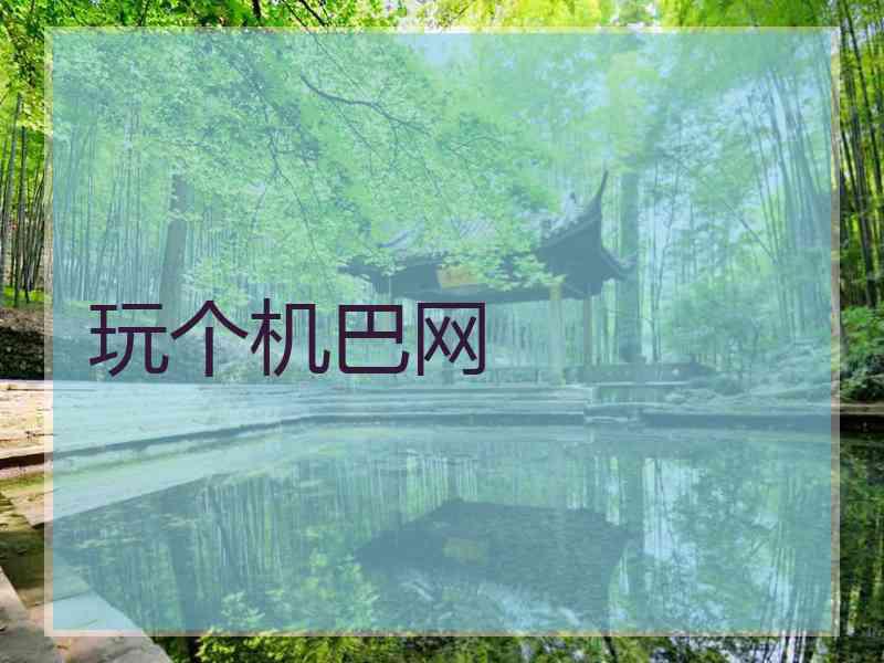 玩个机巴网