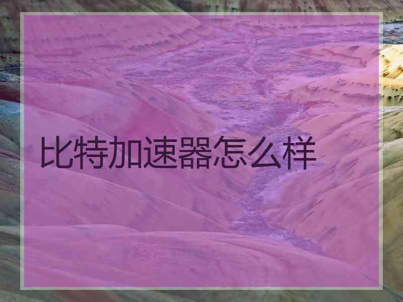 比特加速器怎么样