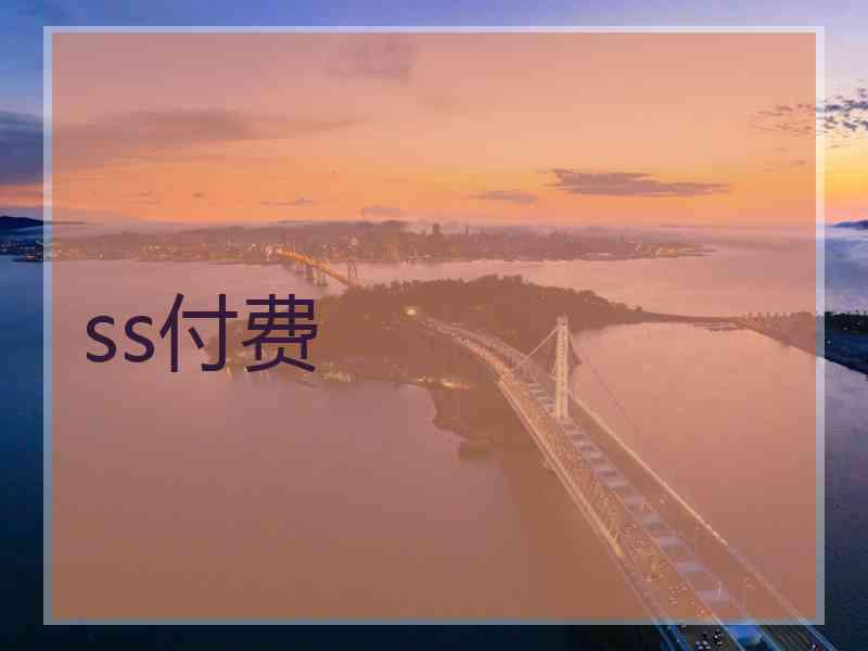 ss付费
