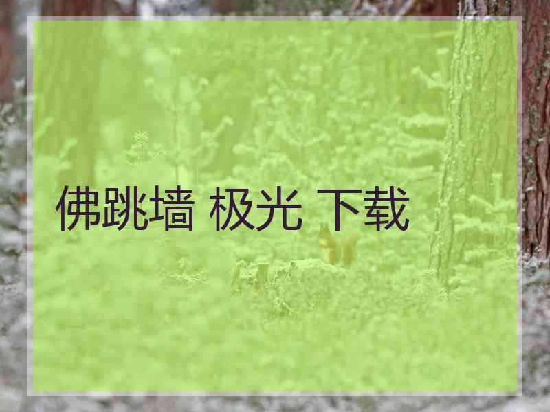 佛跳墙 极光 下载