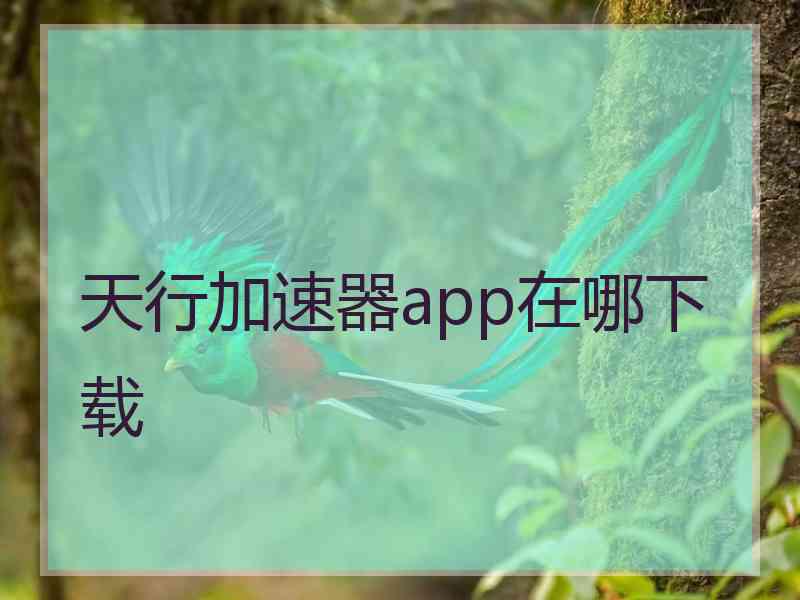 天行加速器app在哪下载