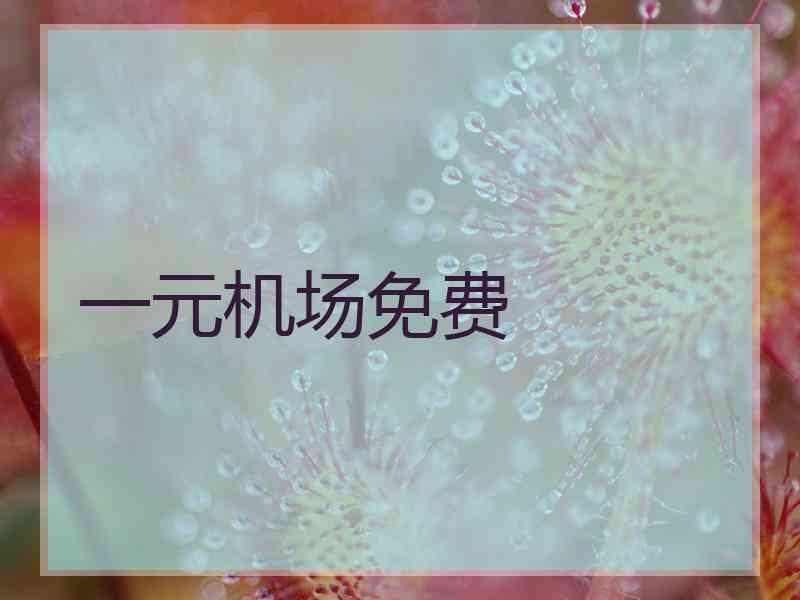 一元机场免费