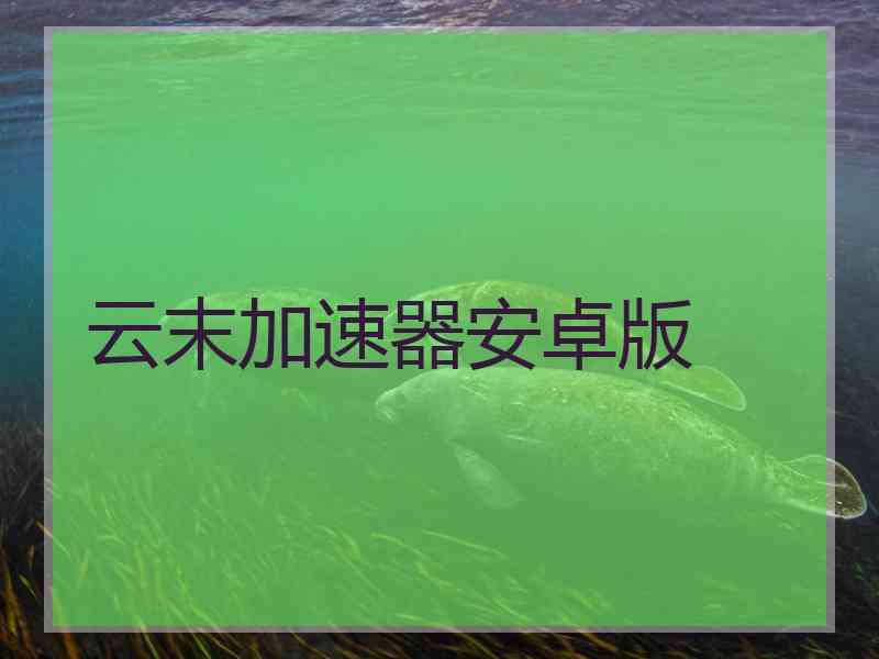 云末加速器安卓版