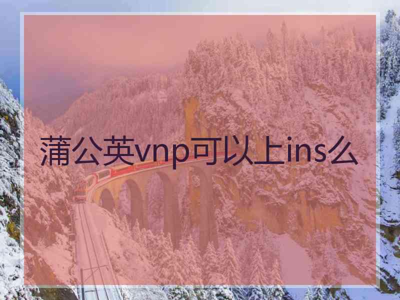 蒲公英vnp可以上ins么
