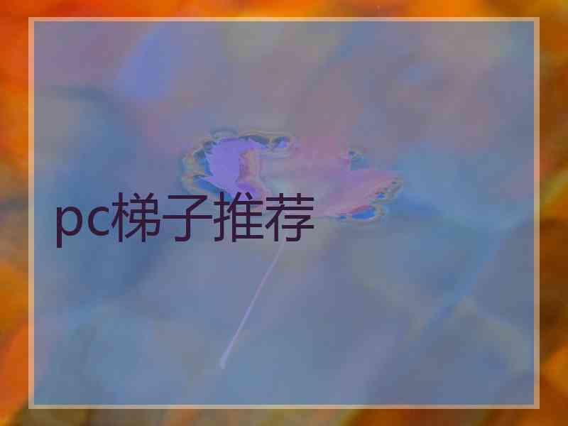pc梯子推荐