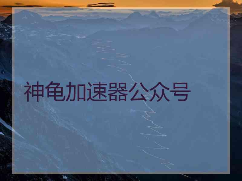 神龟加速器公众号