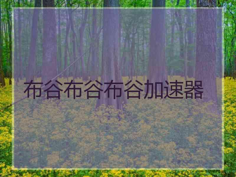 布谷布谷布谷加速器