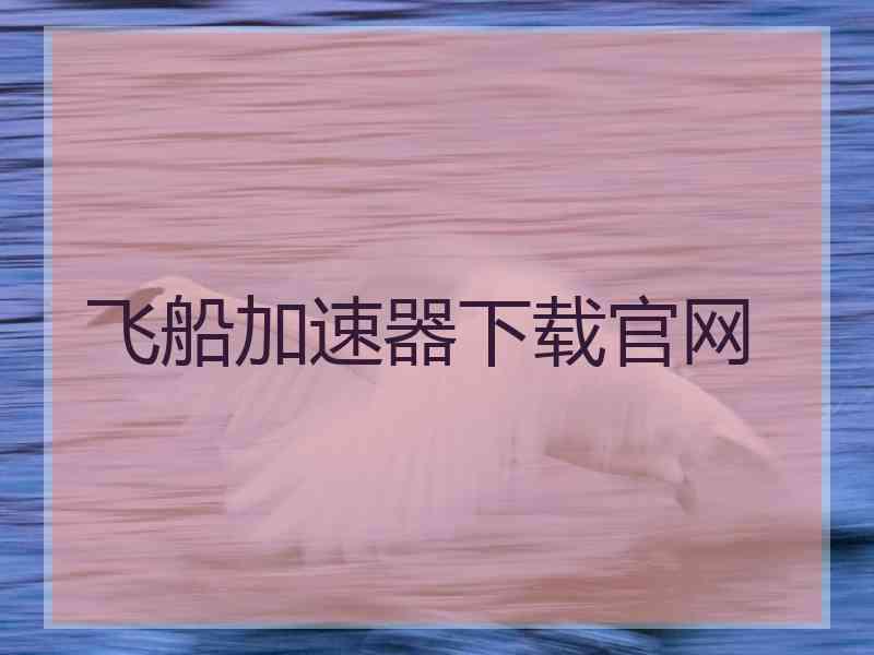 飞船加速器下载官网