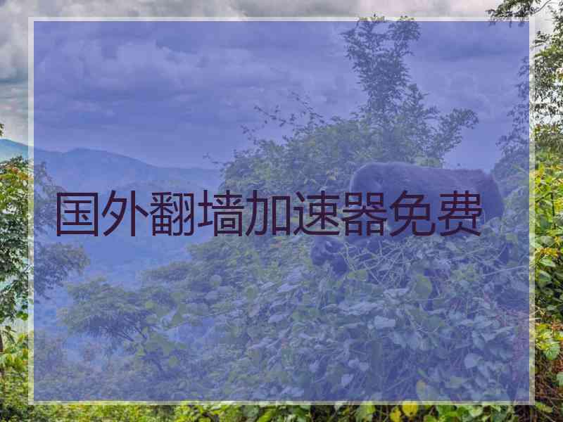 国外翻墙加速器免费